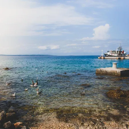 Otium בית הארחה