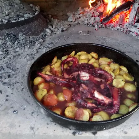 בית הארחה Otium