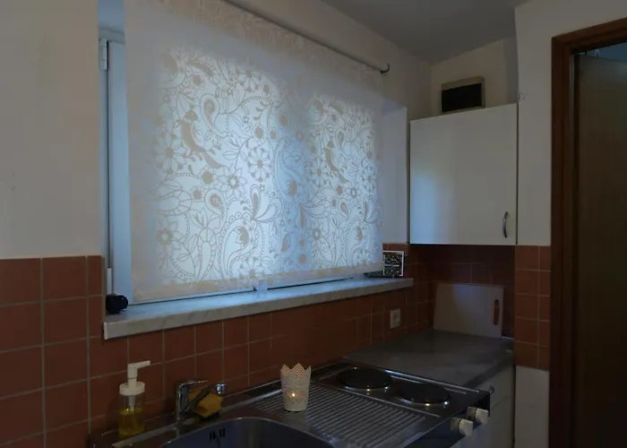 게스트하우스 Otium 실바