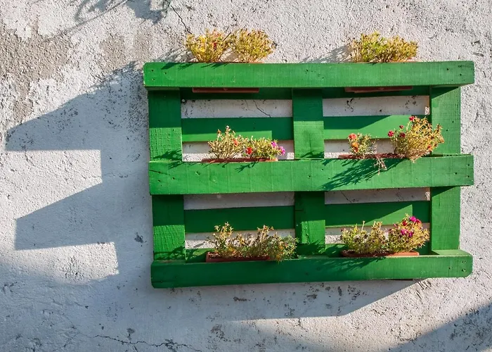 게스트하우스 Otium 실바