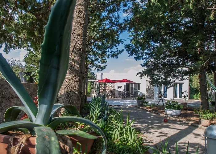 게스트하우스 Otium 실바