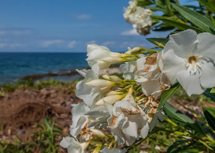 게스트하우스 Otium 실바