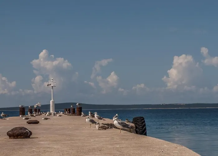 Otium 게스트하우스 실바