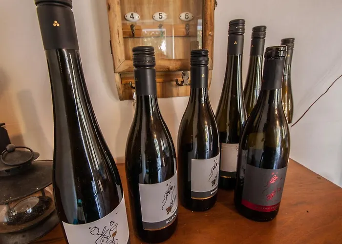 Otium 게스트하우스 4*