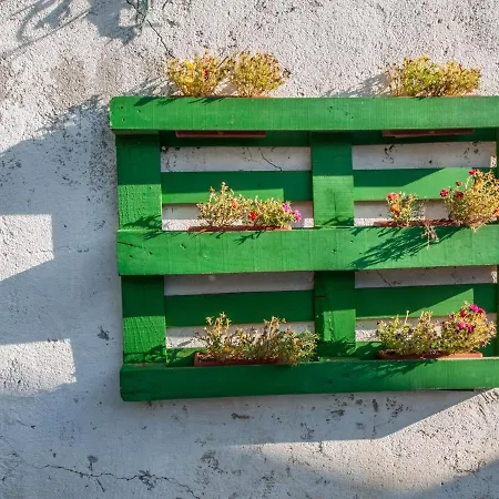 Maison d'hôtes Otium Silba