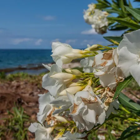 Maison d'hôtes Otium Silba