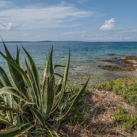 Otium Maison d'hôtes Silba