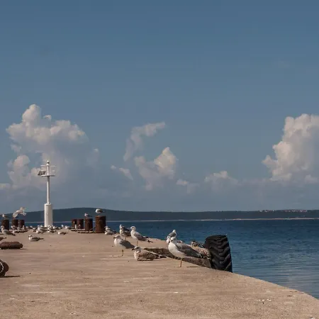 Otium Maison d'hôtes Silba