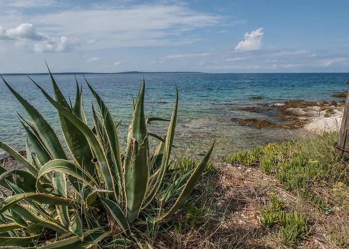 Otium Πανσιόν Silba