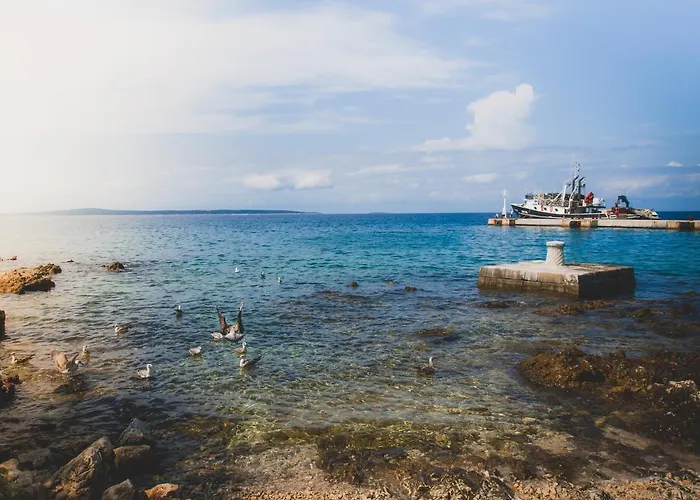 Otium Πανσιόν